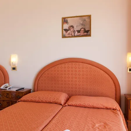 Mayflower Hotel 3*